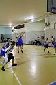 Basket 242099